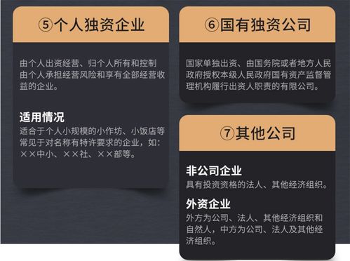 企業(yè)注銷(xiāo)全流程解析 商務(wù)代理代辦服務(wù)一站式解決方案